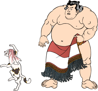 sumo image