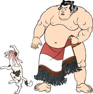 sumo image