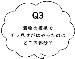 Q3 着物の模様でチラ見せがはやったのはどこの部分？