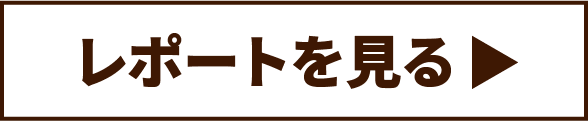 レポートを見る